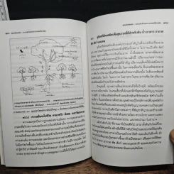 จุลินทรีย์คอสมิค ความสำเร็จของการเกษตรไร้สารพิษ - ภรณ์ ภูมิพันนา รูปที่ 9