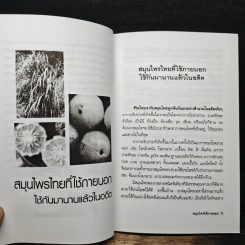 สมุนไพรใช้ภายนอก - ภาณุทรรศน์ รูปที่ 9
