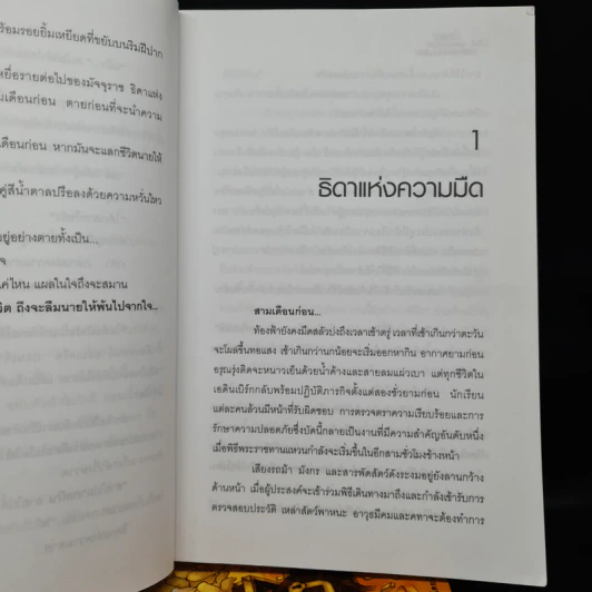 หัวขโมยแห่งบารามอส 4 เล่มจบ + The Perfect Guidebook - Rabbit รูปที่ 7