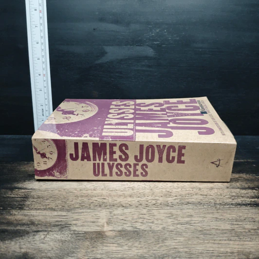 Ulysses - James Joyce รูปที่ 3