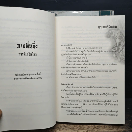 ซาเสียวเอี้ย 2 เล่มจบ - โก้วเล้ง, น.นพรัตน์ รูปที่ 7