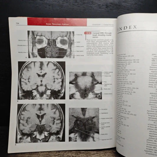 Grant's Atlas of Anatomy รูปที่ 14