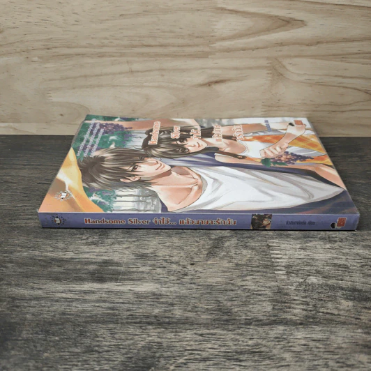 Handsome Silver จำไว้...แล้วนายจะรักฉัน - หัวสมองตีบตัน รูปที่ 2