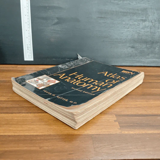 Atlas of Human Anatomy - Frank H. Netter รูปที่ 4
