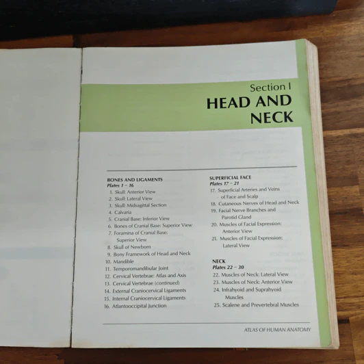 Atlas of Human Anatomy - Frank H. Netter รูปที่ 10