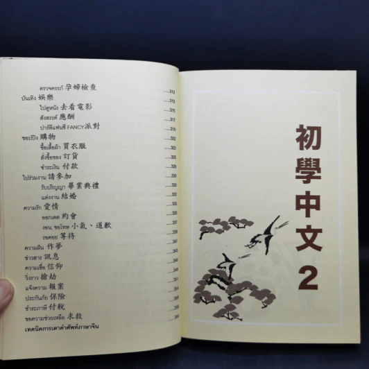ภาษาจีนสำหรับผู้เริ่มต้นใน 3 ก้าว รูปที่ 12