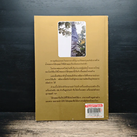 กฤษณาไม้หอม ไม้มหาเศรษฐี - องอาจ คล้ามไพบูลย์ รูปที่ 2