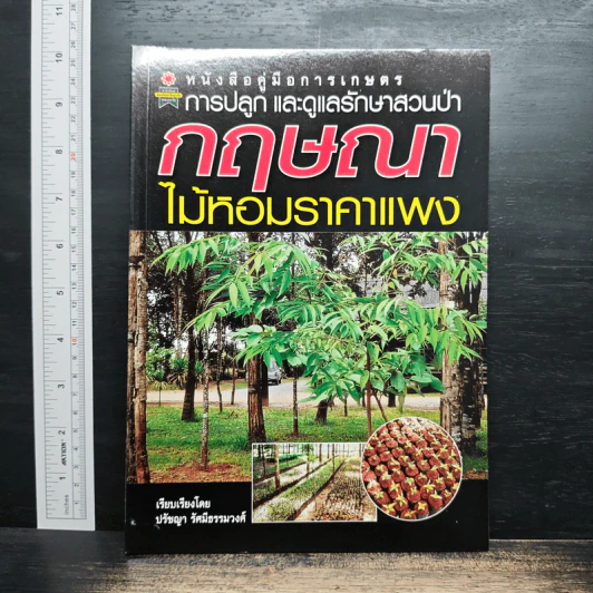 การปลูกและดูแลรักษาสวนป่า กฤษณา ไม้หอมราคาแพง รูปที่ 1