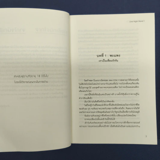 One Night Stand 2 เล่มจบ - เจ้าหญิงผู้เลอโฉม, ใบสน รูปที่ 8