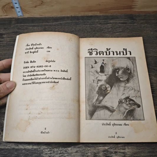 ชีวิตบ้านป่า - ประสิทธิ์ มุสิกเกษม รูปที่ 6