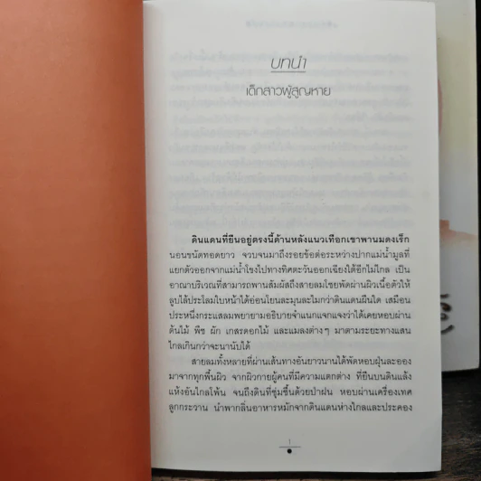 จันทราอุษาคเนย์ 2 เล่มจบ - วรรณวรรธน์ รูปที่ 7