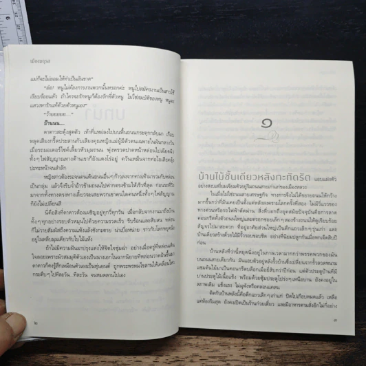 เมืองมธุรส - แก้วเก้า รูปที่ 8