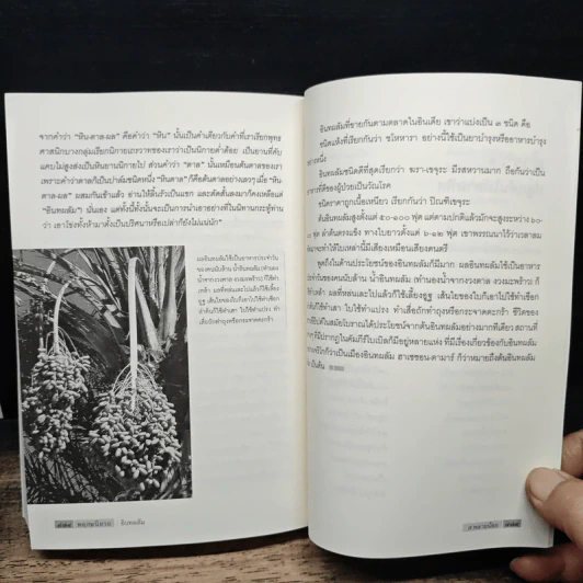 พฤกษนิยาย - ส.พลายน้อย รูปที่ 10