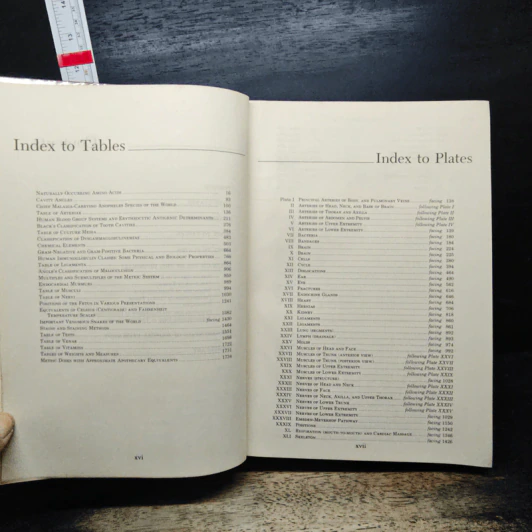 Dorland's Illustrated Medical Dictionary รูปที่ 9