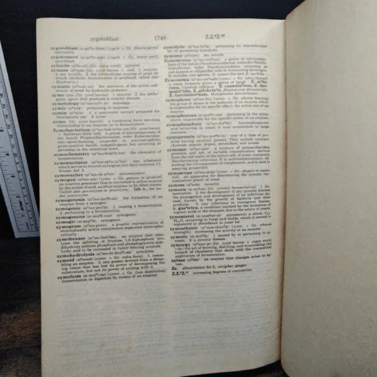 Dorland's Illustrated Medical Dictionary รูปที่ 12