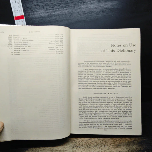 Dorland's Illustrated Medical Dictionary รูปที่ 10