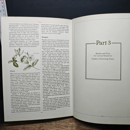 Shrubs & Small Trees - Geoffrey Smith รูปที่ 10