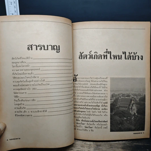 ทดลองตาย รูปที่ 7