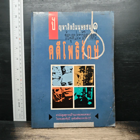 ปัญหาสิทธิมนุษยชน: ข้อมูลประวัติศาสตร์ คดีโพธิรักษ์ รูปที่ 1