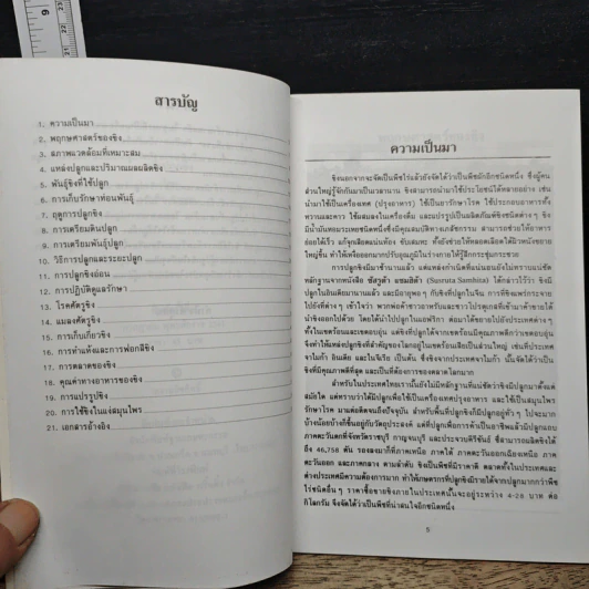 การปลูกขิง - คำนึง คำอุดม รูปที่ 7
