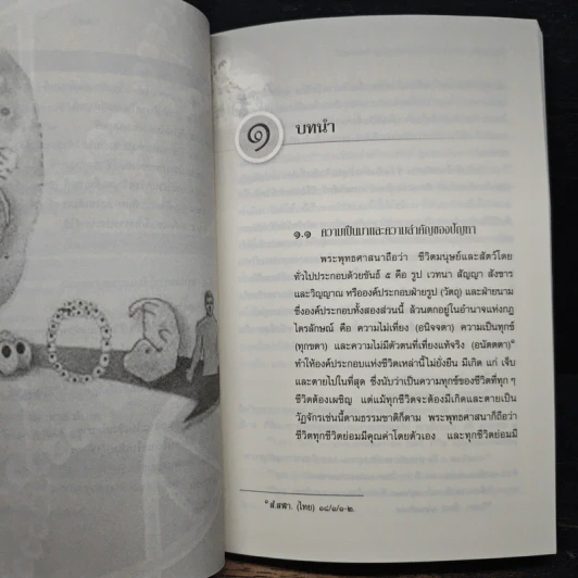 การศึกษาวิเคราะห์ปาณาติปาตาในเซลล์มนุษย์และตัวอ่อนมนุษย์ - นายแพทย์ปุณวัสส์ กิตติมานนท์ รูปที่ 10