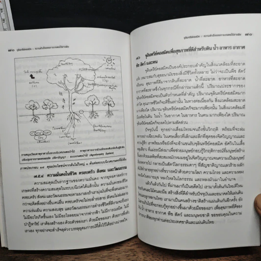 จุลินทรีย์คอสมิค ความสำเร็จของการเกษตรไร้สารพิษ - ภรณ์ ภูมิพันนา รูปที่ 9