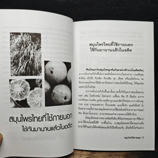 สมุนไพรใช้ภายนอก - ภาณุทรรศน์ รูปที่ 9