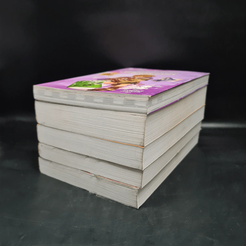 หัวขโมยแห่งบารามอส 4 เล่มจบ + The Perfect Guidebook - Rabbit รูปที่ 3