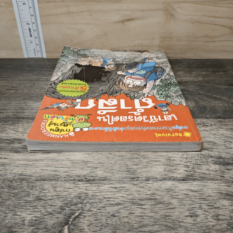 เอาชีวิตรอดในถ้ำลึก รูปที่ 4