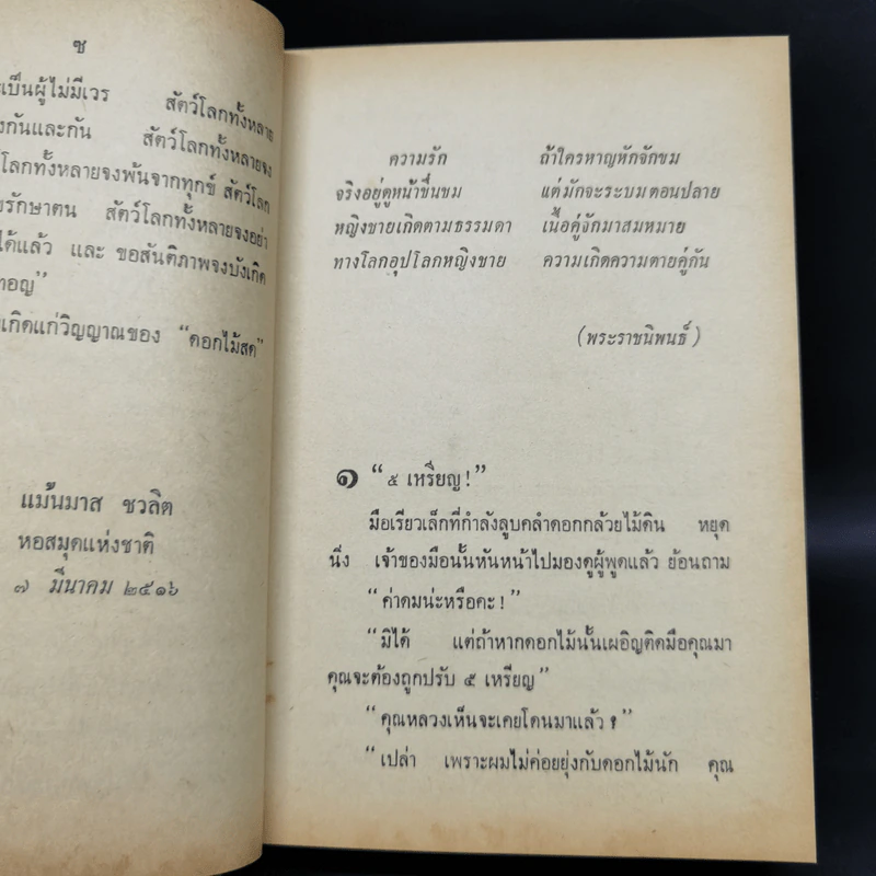ความผิดครั้งแรก - ดอกไม้สด รูปที่ 9