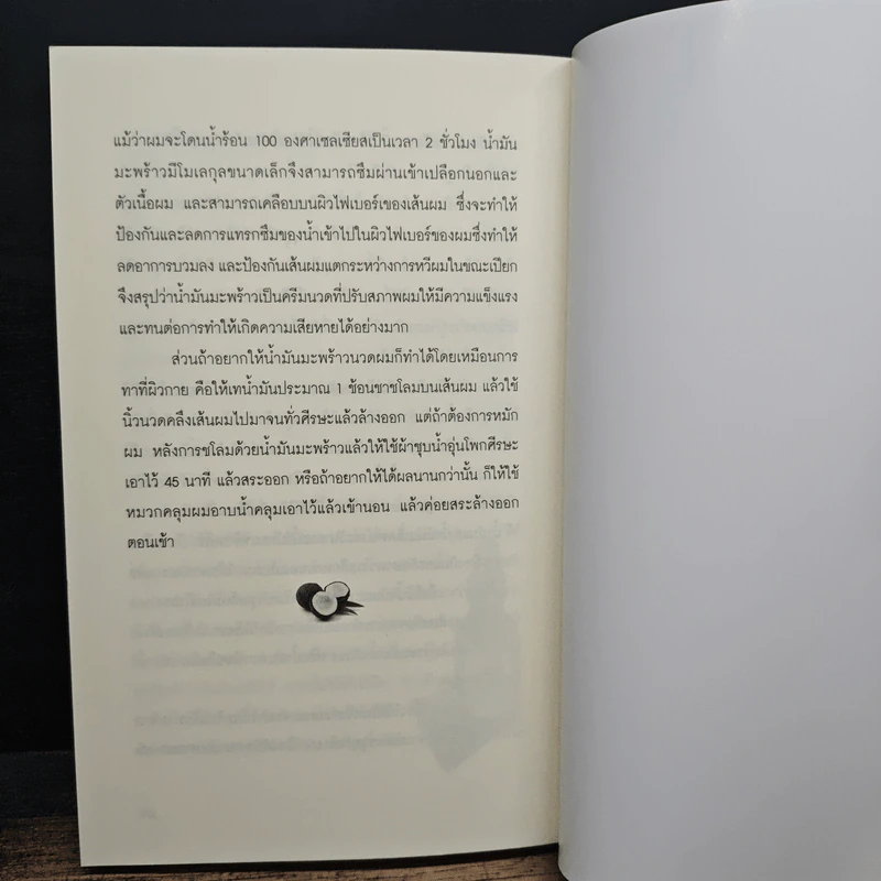 ปฏิวัติน้ำมันพืช - ปานเทพ พัวพงษ์พันธ์ รูปที่ 11