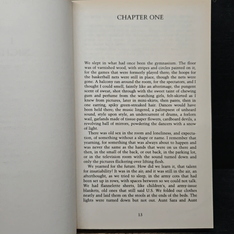 The Handmaid's Tale - Margaret Atwood รูปที่ 8