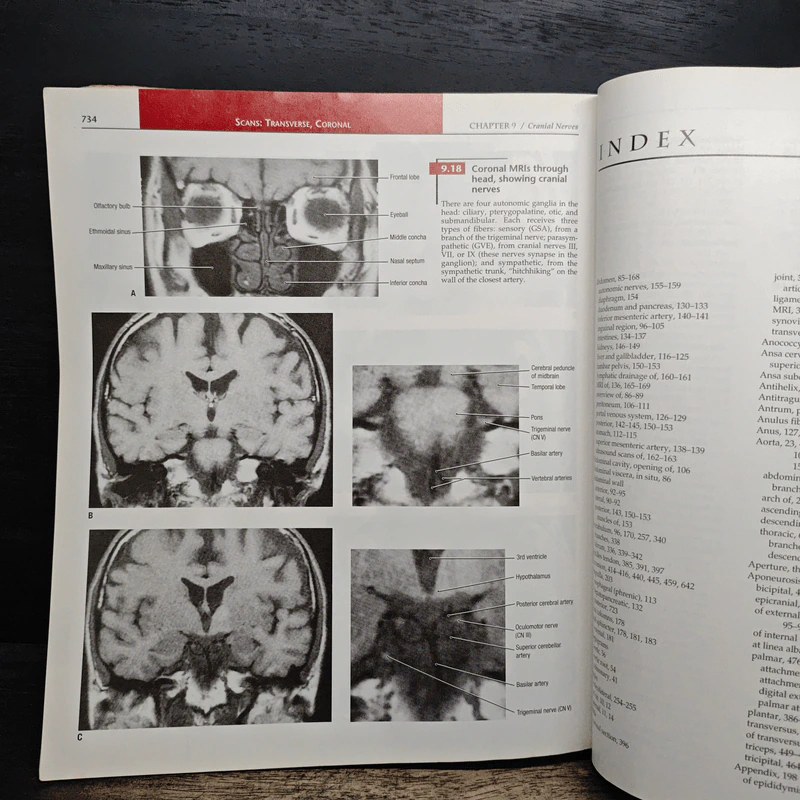 Grant's Atlas of Anatomy รูปที่ 14