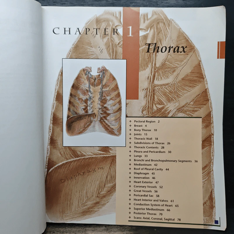 Grant's Atlas of Anatomy รูปที่ 10