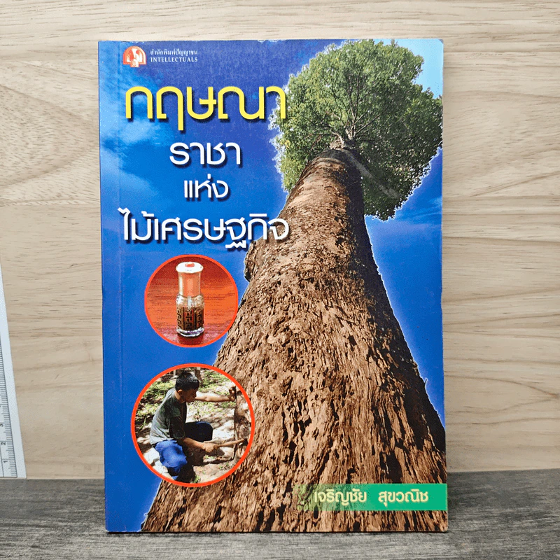กฤษณา ราชาแห่งไม้เศรษฐกิจ - เจริญชัย สุขวณิช รูปที่ 1