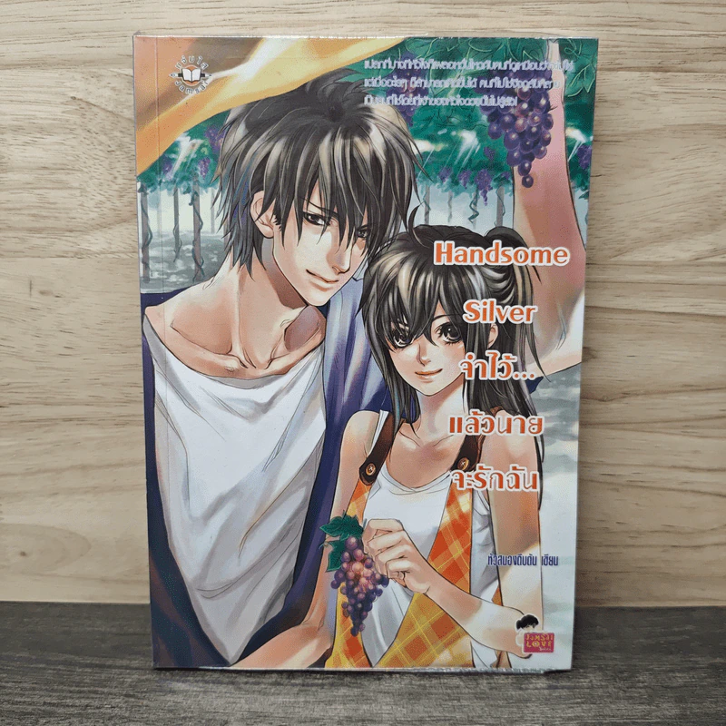 Handsome Silver จำไว้...แล้วนายจะรักฉัน - หัวสมองตีบตัน รูปที่ 1