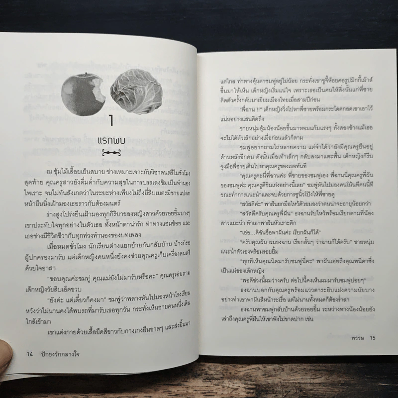 ปักธงรักกลางใจ - พรรษ รูปที่ 8