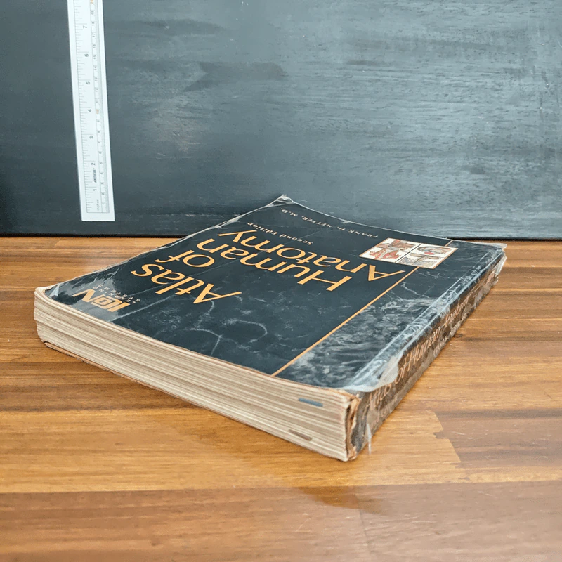 Atlas of Human Anatomy - Frank H. Netter รูปที่ 5