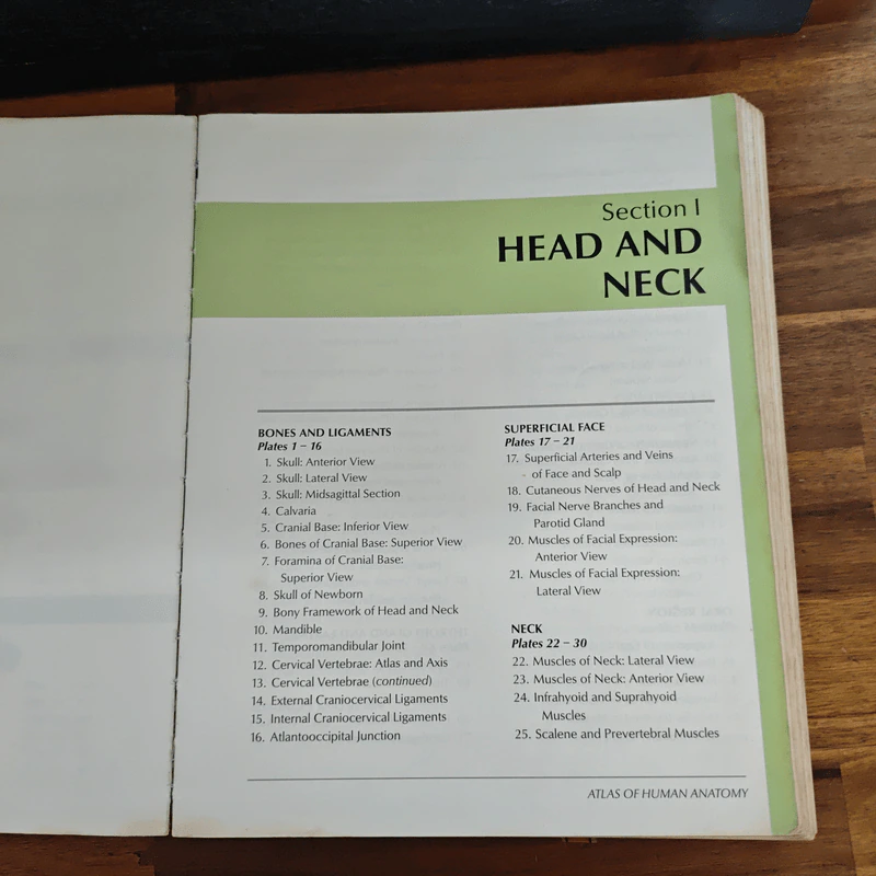 Atlas of Human Anatomy - Frank H. Netter รูปที่ 10