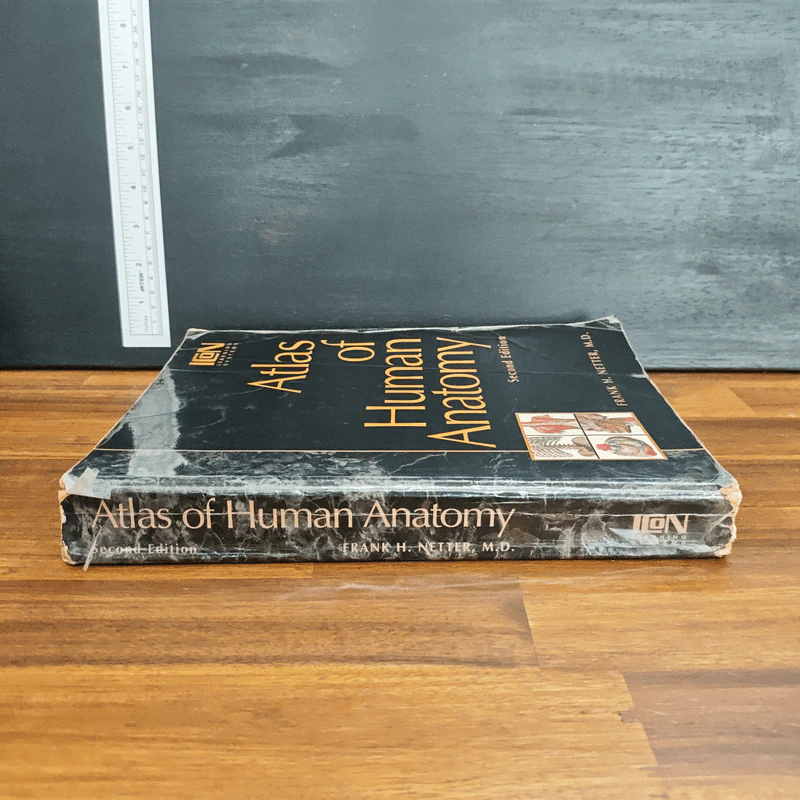 Atlas of Human Anatomy - Frank H. Netter รูปที่ 3