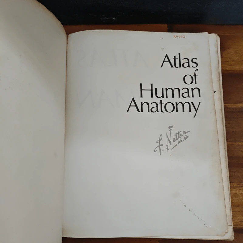 Atlas of Human Anatomy - Frank H. Netter รูปที่ 6