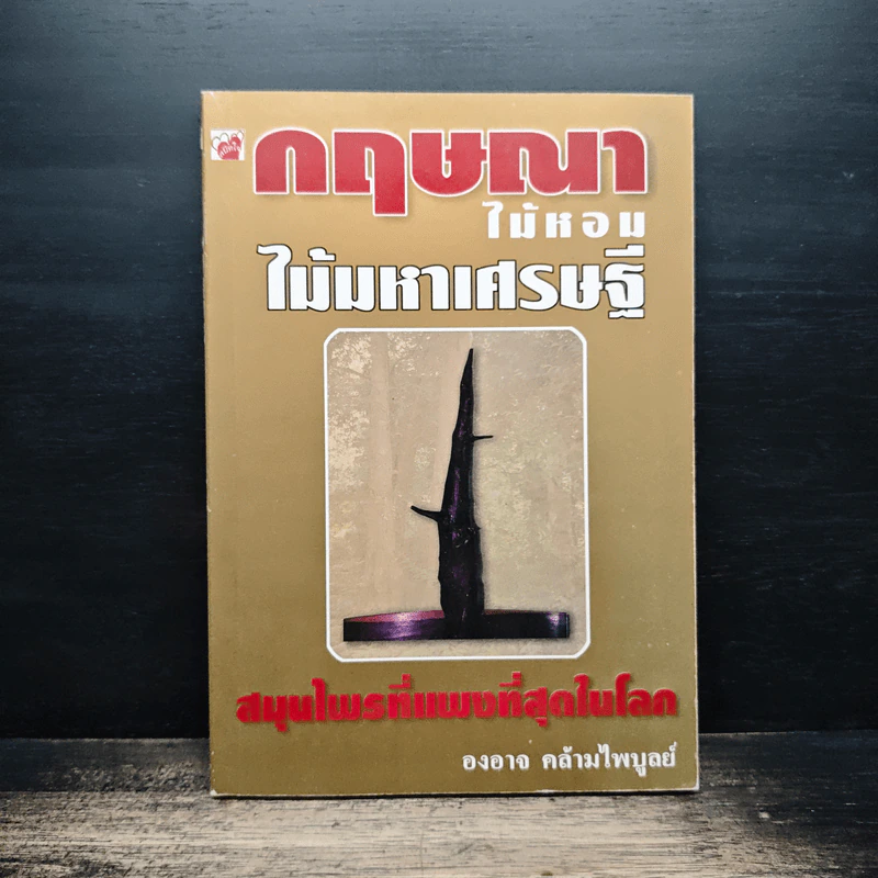 กฤษณาไม้หอม ไม้มหาเศรษฐี - องอาจ คล้ามไพบูลย์ รูปที่ 1