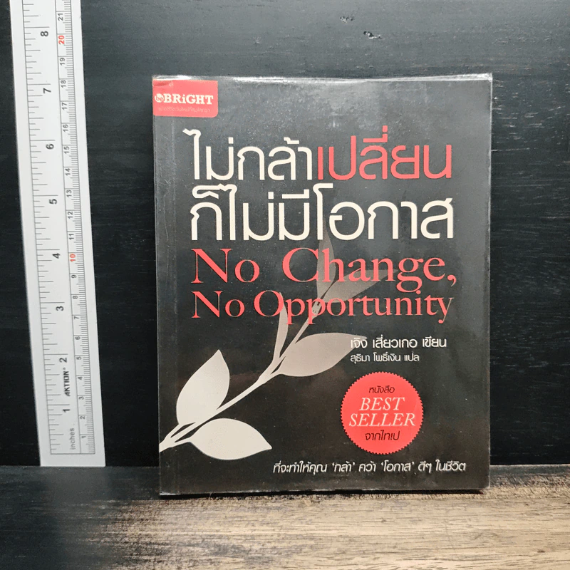 ไม่กล้าเปลี่ยน ก็ไม่มีโอกาส No Change, No Opportunity - เจิง เสี่ยวเกอ รูปที่ 1