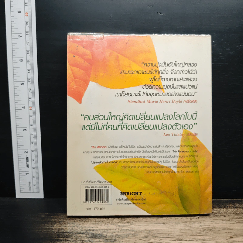 ไม่กล้าเปลี่ยน ก็ไม่มีโอกาส No Change, No Opportunity - เจิง เสี่ยวเกอ รูปที่ 2