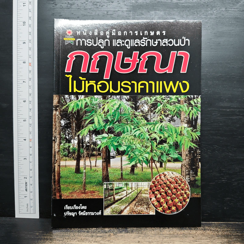 การปลูกและดูแลรักษาสวนป่า กฤษณา ไม้หอมราคาแพง รูปที่ 1
