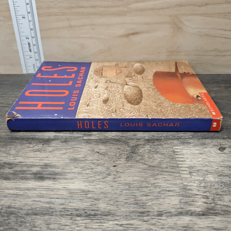 Holes - Louis Sachar รูปที่ 2