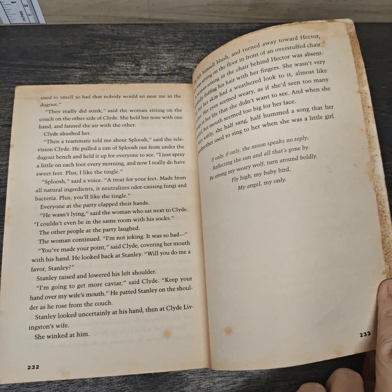 Holes - Louis Sachar รูปที่ 8
