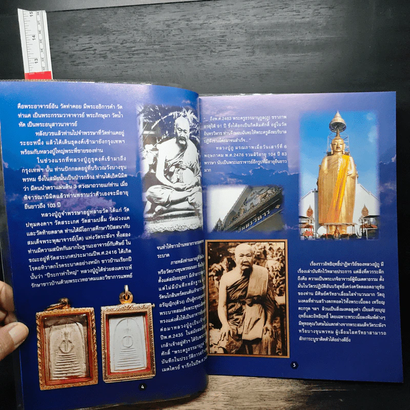 หลวงปู่ภู วัดอินทร์ รูปที่ 7