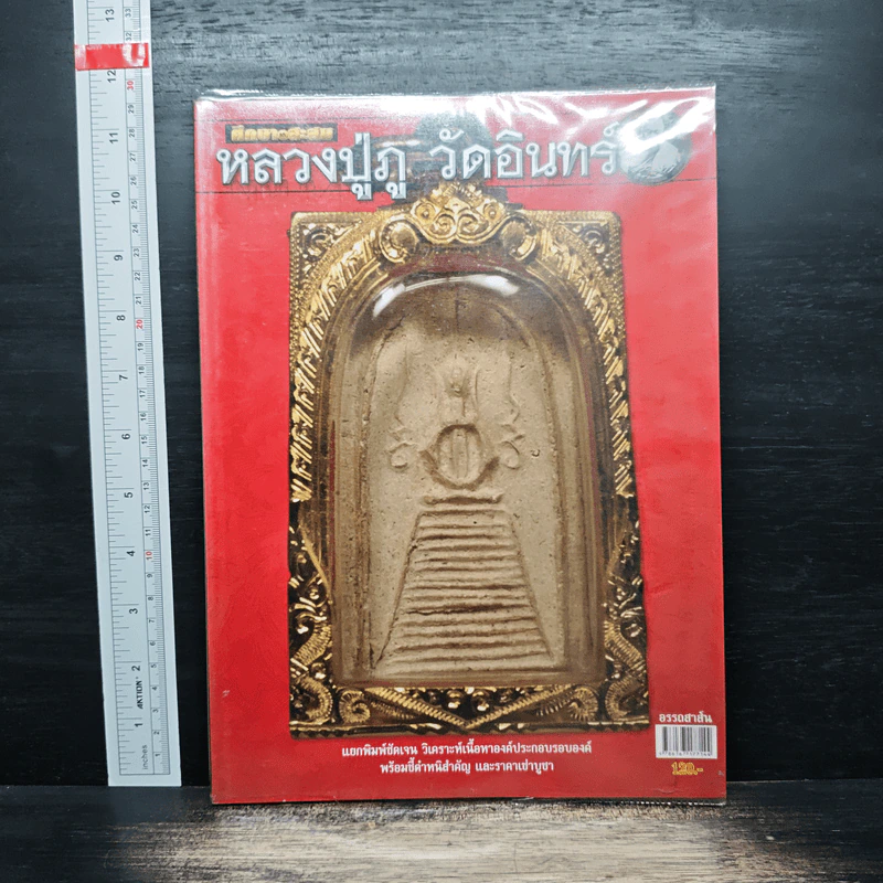 หลวงปู่ภู วัดอินทร์ รูปที่ 1