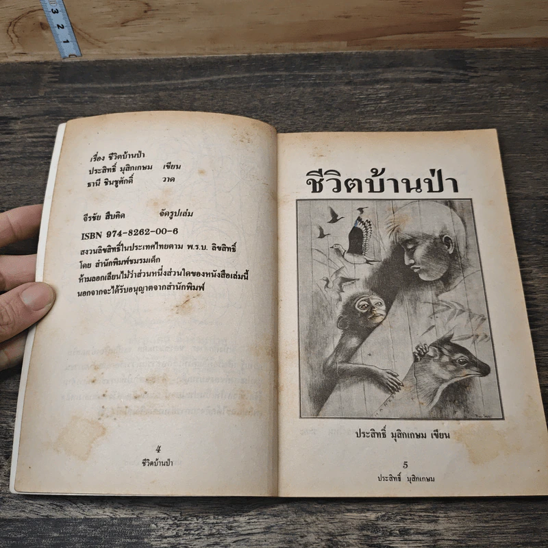 ชีวิตบ้านป่า - ประสิทธิ์ มุสิกเกษม รูปที่ 6